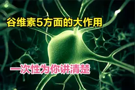 小小谷维素，除了调理失眠，还有4方面大作用，建议收藏视频封面