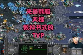 星际争霸 Light vs 天梯高分神族 教科书式的TVP视频封面
