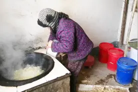 这个老太太，又焯了一盆冻白菜，这是要做什么菜呢？白菜是家常菜视频封面