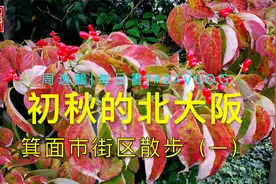 实拍 你知道吗？大阪北部城市-箕面市！看看去！视频封面
