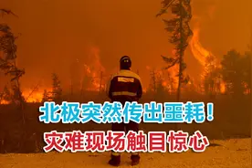 “野火都烧到北极了！”俄罗斯东部突发大火，灾难现场触目惊心视频封面