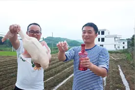 换毛的鸭子拔毛很难，只要掌握了这一招，拔鸭毛又快又干净