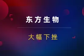 东方生物大幅下挫！检测试剂踩准节奏！抗原检测低于预期？视频封面