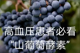 高血压患者必看“山葡萄酵素”做法，纯天然健康又美味视频封面