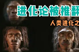达尔文的进化论被颠覆，人类不是从猴子进化来的？视频封面