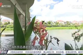 佛山：钓友夜钓发现剧毒银环蛇，消防紧急上线处置|今日最新闻视频封面