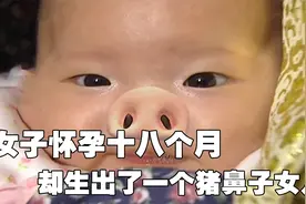 女子怀孕十八个月，没想到竟生出了一个猪鼻子女儿视频封面