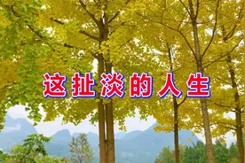 2021最伤感歌曲《这扯淡的人生》，句句走心，唱出中年人的辛酸！视频封面
