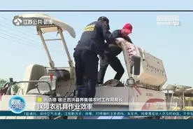 风吹麦浪涌，小麦开镰收割忙，打捆机、抓草机也紧随其后视频封面