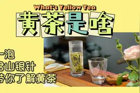 你知道什么是黄茶吗？一泡君山银针带你了解黄茶类～视频封面