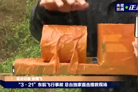 总台记者现场用黑匣子模型介绍情况视频封面