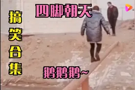 搞笑合集；美女四脚朝天掉下来哈哈哈太好笑了~视频封面