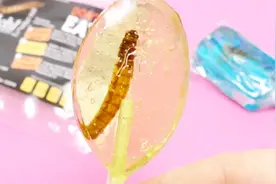 棒棒糖中融入了各种虫子，简直是女生噩梦，老外作死进行试吃