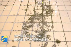 房顶漏水、墙皮脱落一年多，物业称已申请资金，相关部门：没收到视频封面