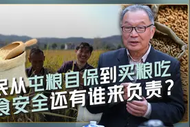 农民不储粮，养猪户变买猪人，国家的粮食安全该如何保障？视频封面