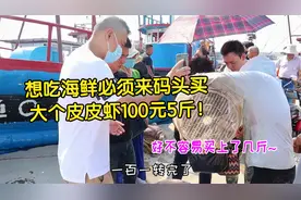 天津开海吃海鲜，蔡家堡码头皮皮虾100元5斤，真鲜！#9月吃什么#视频封面