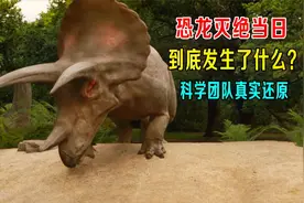 恐龙灭绝当日，到底发生了什么？科学团队还原现场，纪录片视频封面