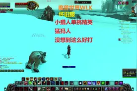 魔兽世界怀旧服，这个任务的精英猛犸人这么好打！自己单挑很容易