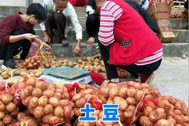 今天才知道，这3种土豆不要买，菜贩子自己也不吃，看完涨知识视频封面