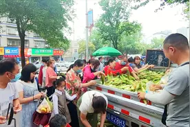 荆州沙市摆地摊卖玉米包谷的，生意好，5块钱6个手慢还抢不到