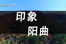 阳曲县：国土绿化谱新篇视频封面