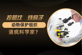 挖祖坟，烧房子，极端动物保护组织逼疯科学家？