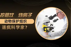 挖祖坟，烧房子，极端动物保护组织逼疯科学家？视频封面