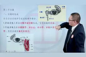 2023年眼科学主治医师考试视频冲刺通关 眼附属器的解剖和生理02视频封面