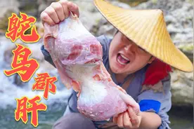 鸡胗鸭胗都吃过，鸵鸟胗还是第一次见，做个小郡肝串串，真不错