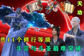 解析斗破苍穹的11个境界，斗宗斗圣最难突破，斗圣需要天阶功法