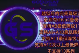 支持iphone6及以上所有可以越狱的苹果手机和ipad 完美降级教程视频封面