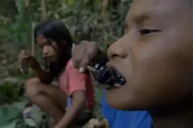 纪录片：委内瑞拉原始部落小孩，去森林里抓狼蛛烤了当午饭吃视频封面