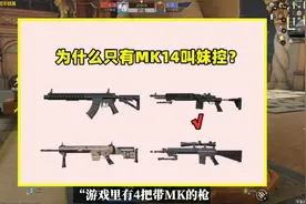 游戏里有4把带MK的枪，为什么只有MK14叫“妹控”？