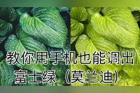 教你用手机也能调出层次分明的富士绿（莫兰蒂）