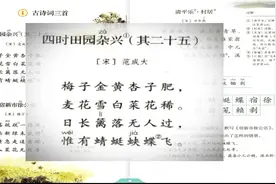 四年级下册语文（统编版）第1文 古诗三首 诵读视频封面