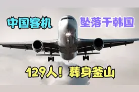 中国客机坠落于韩国，129国人葬身釜山，究竟是何原因？空中浩劫视频封面