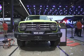 2021上海车展：青苹果坦克300全新换标视频封面