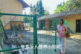 湖北爱狗人士收养了7只流浪狗，在金盆山租栋小院，让狗自由奔跑视频封面