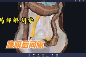 局部解剖学-腹膜后间隙视频封面