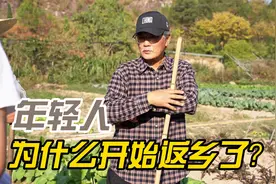 年轻人为什么开始返乡了？