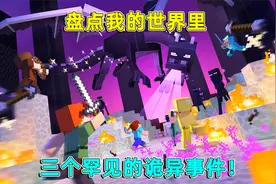 我的世界：揭秘最难遇到三个罕见事件，303事件的由来你知道？