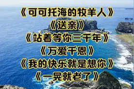 <可可托海的牧羊人><送亲><站着等你三千年><万爱千恩>