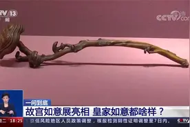 大饱眼福！故宫展出160件套如意视频封面