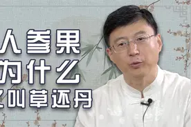 人参果为什么又称草还丹，和炼丹有什么关系？视频封面