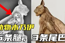 4个最奇怪的动物木乃伊，5条腿3条尾的猫，真的存在吗？视频封面