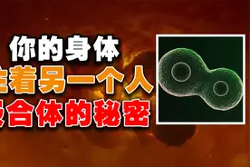 你体内可能住着另一个人？被你“吃掉”的兄弟？揭秘诡异的嵌合体视频封面