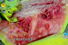 大求真：冰箱里的食物能放多久，反复解冻的肉还能吃吗？涨知识了视频封面