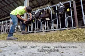 美国西部大草原上牧场生产生活全景记录｜喂牛｜修理挤奶机视频封面