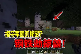 我的世界：消失的掠夺者！其背后竟是一场实验所导致