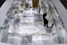 猫咪放入镜子迷宫中会怎样？这猫的反应令人震惊，是喵星人没错了视频封面